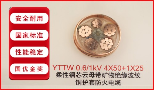 YTTW型号电缆