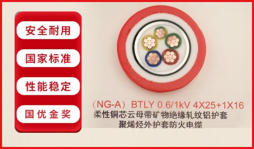 NG-A（BTLY）型号电缆